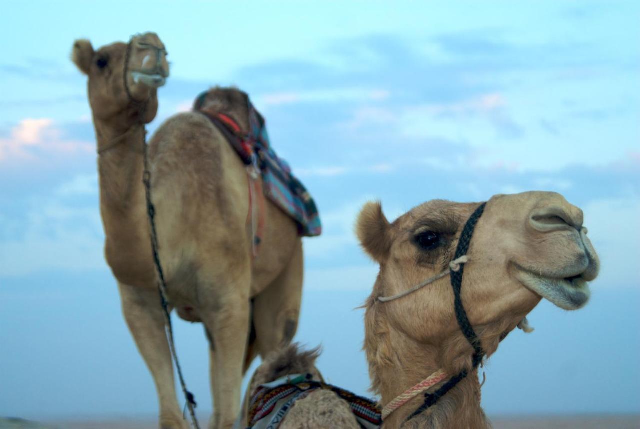 Tilal Liwa Desert Retreat Madīnat Zāyid Exterior foto